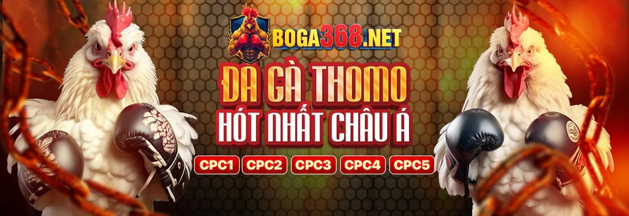 Giao diện tổng quan nền tảng cá cược thể thao uuu88 chính thức