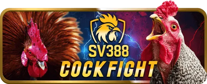 Hoàn trả uuu88 chính thức